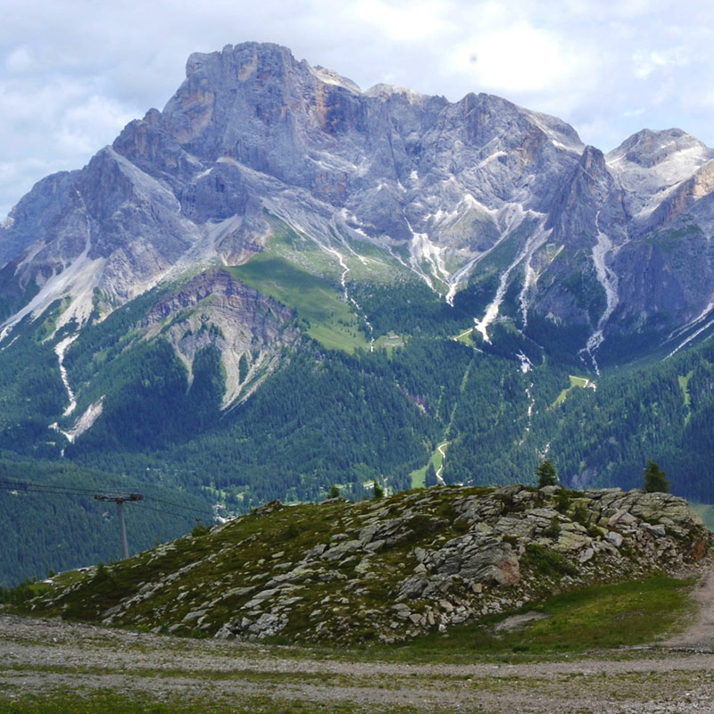 Passeggiata-geologica-Marmotte-Alpe-Tognola-Dolomiti