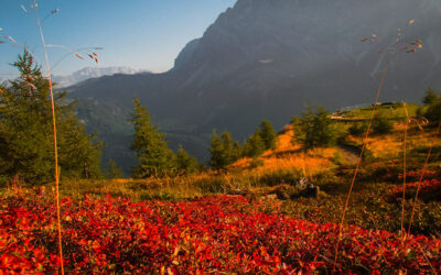 Visita Alpe Tognola in settembre