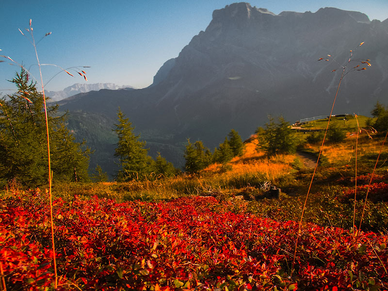 Visita Alpe Tognola in settembre